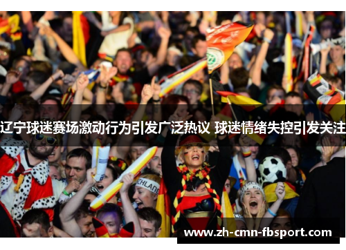 辽宁球迷赛场激动行为引发广泛热议 球迷情绪失控引发关注